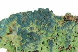 Dark Green Conichalcite with Clinoclase - Namibia #244379-1